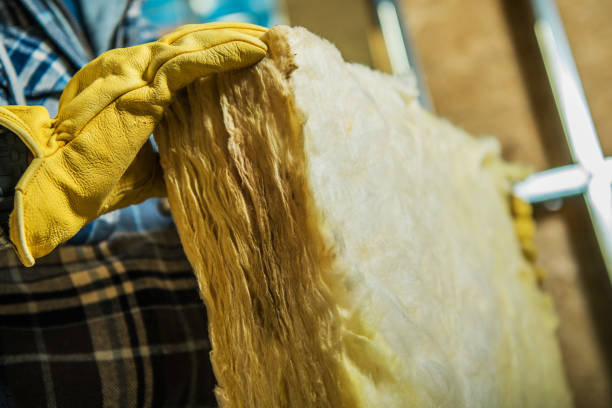Types of Insulation We Offer in Greeneville, TN