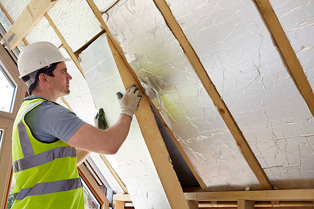 Best Commercial Insulation in Greeneville, TN