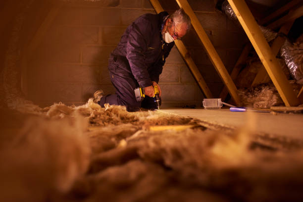 Best Eco-Friendly Insulation in Greeneville, TN
